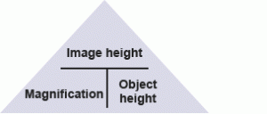 magnification-triangle